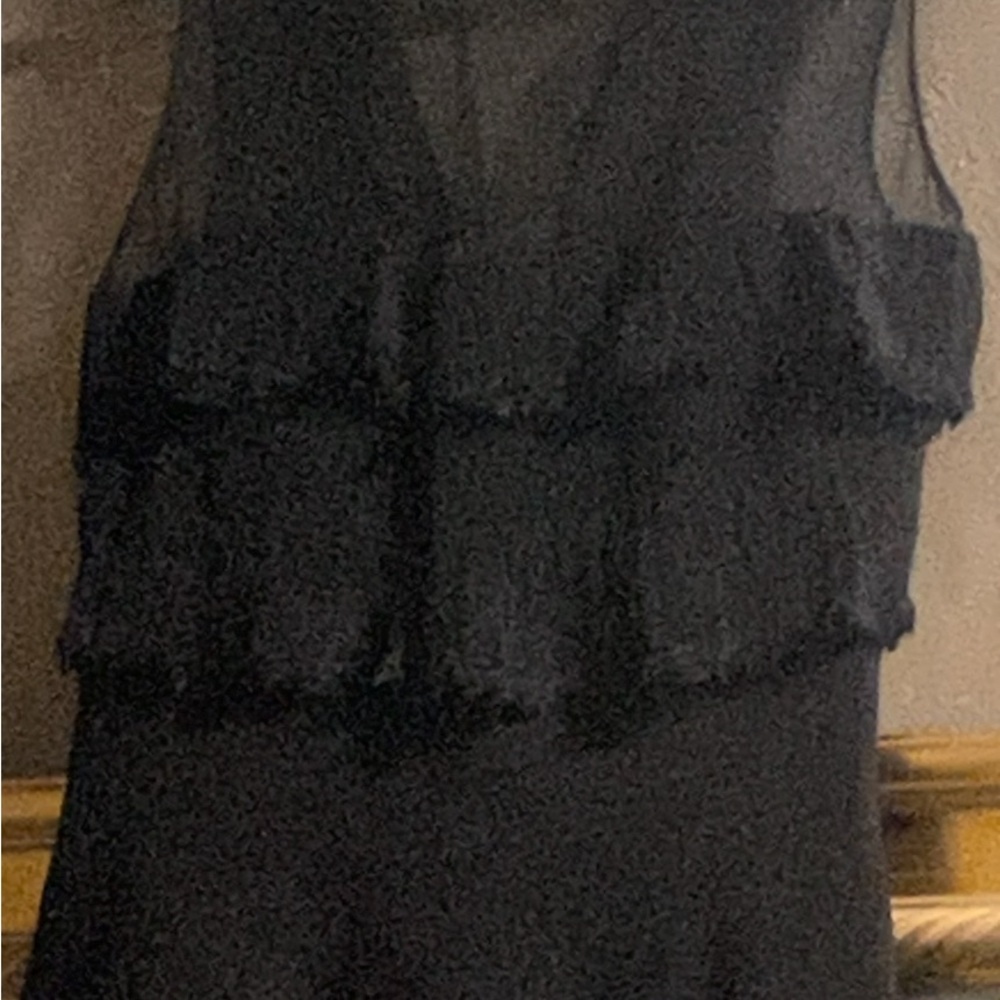 Designer Dress by Carolina Herrera Black Sleeveless Ruffled  Chiffon Dress - Picture 5 of 10